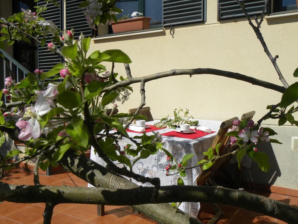 El Jardin De Los Gatos Apartament Caces Buitenkant foto